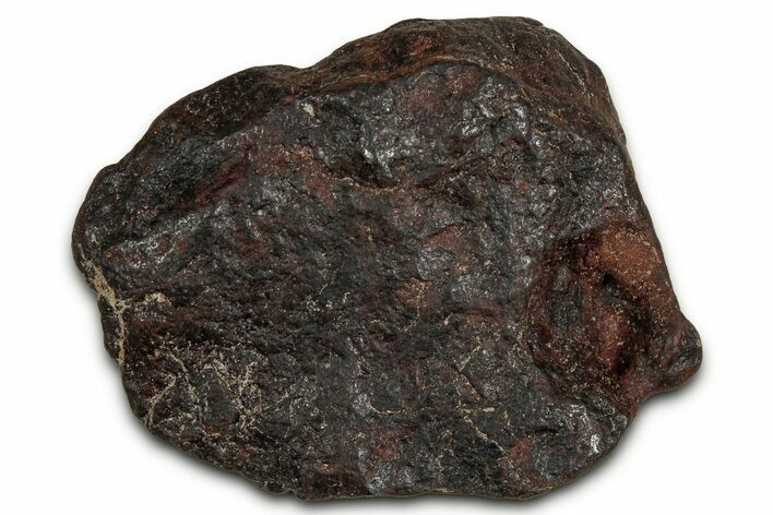 Canyon Diablo Iron Meteorite ( g) - Arizona #356015